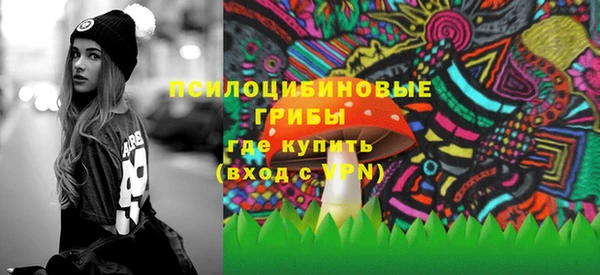 ПСИЛОЦИБИНОВЫЕ ГРИБЫ Армянск