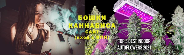 ПСИЛОЦИБИНОВЫЕ ГРИБЫ Армянск
